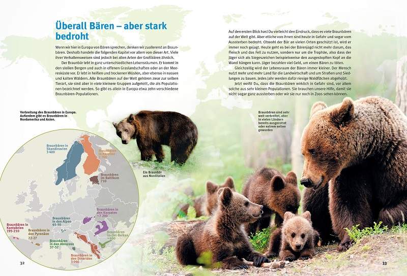 Preview: Entdecke die Bären